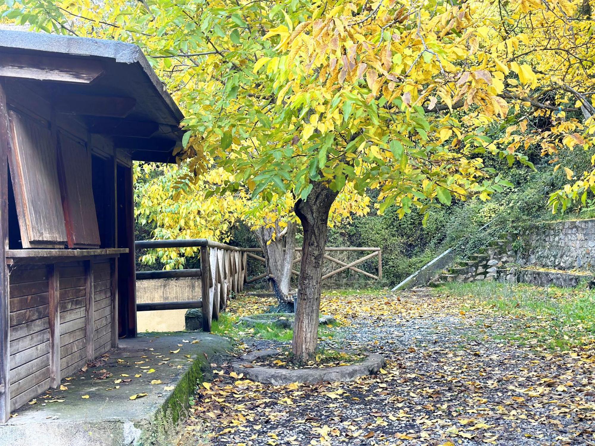 Suenos De Monachil Διαμέρισμα Εξωτερικό φωτογραφία